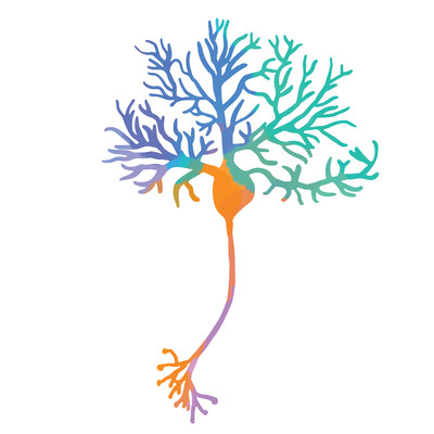 Link to: https://foothillsintegrative.com/neurotherapy