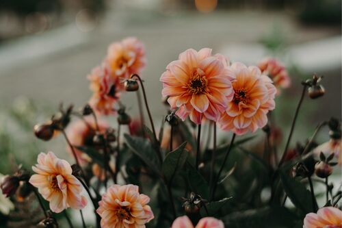 Jenn Clayden