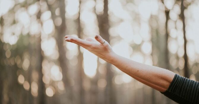 Free 20-Minute Consultation - Neurotherapy